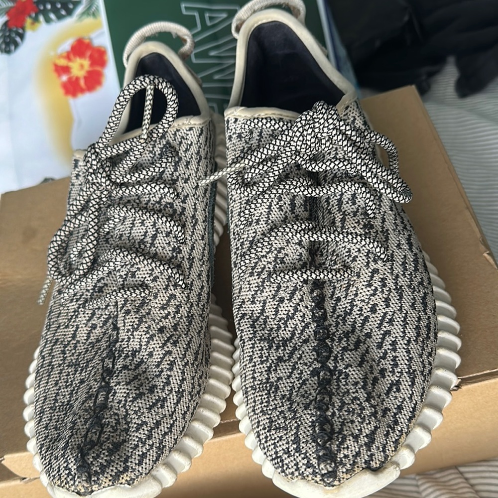 Adidas Yeezy Boost 350 “Turtle Dove”